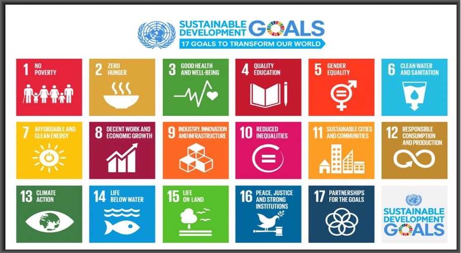 Sustainable Development Goal 3 (SDG3) Progress Analysis and Prediction